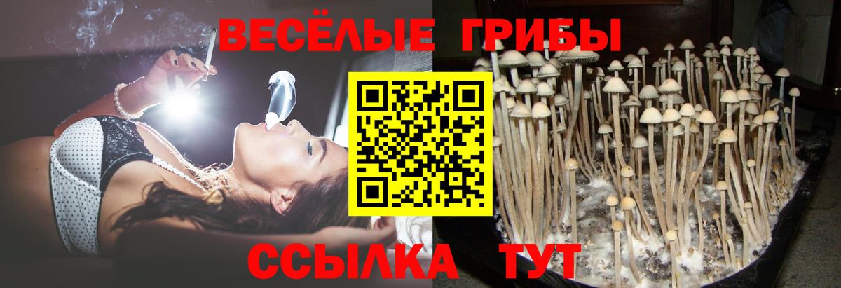 Галлюциногенные грибы мухоморы  дарнет шоп  Людиново  Вход с VPN  Псилоцибиновые грибы Cubensis 